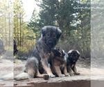 Small Photo #1  Breeder Profile in HOOD RIVER, OR, USA