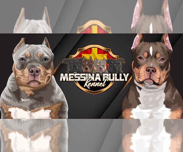 Medium Photo #1  Breeder Profile in VIRGINIA BEACH, VA, USA