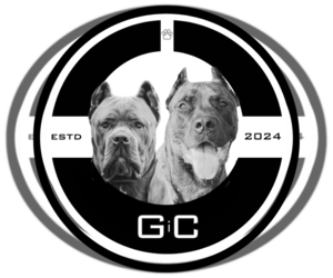 Cane Corso Dog Breeder in MOUNT MORRIS,  USA