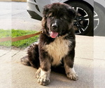 Small #7 Breeder Profile image