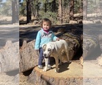 Small #6 Breeder Profile image