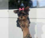Small #10 Breeder Profile image