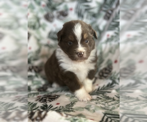 Medium Photo #2  Breeder Profile in BETHANY, CT, USA