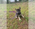 Small #2 Breeder Profile image