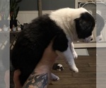 Small #8 Breeder Profile image
