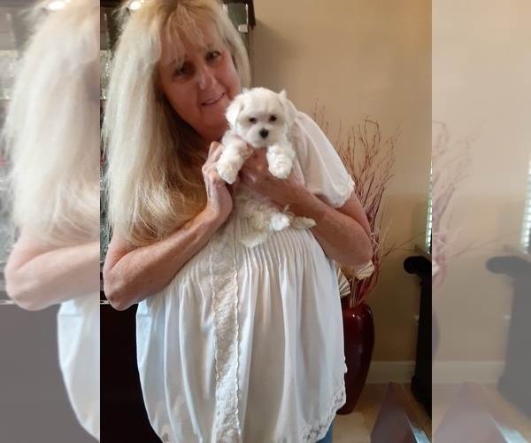 Medium Photo #1  Breeder Profile in CLERMONT, FL, USA