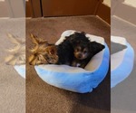 Small #1 Breeder Profile image