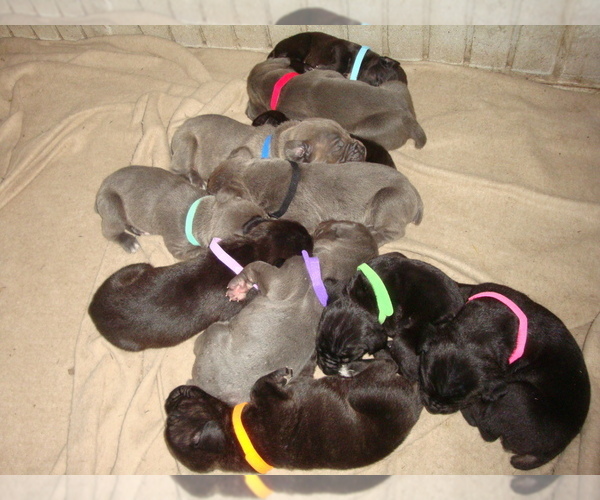 Medium Photo #1  Breeder Profile in BRAGGS, OK, USA