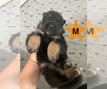 Small #6 Breeder Profile image