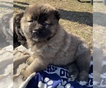 Small #12 Breeder Profile image