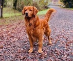 Small #4 Breeder Profile image
