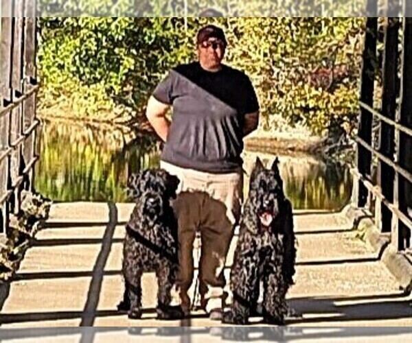 Medium Photo #1  Breeder Profile in MOBERLY, MO, USA