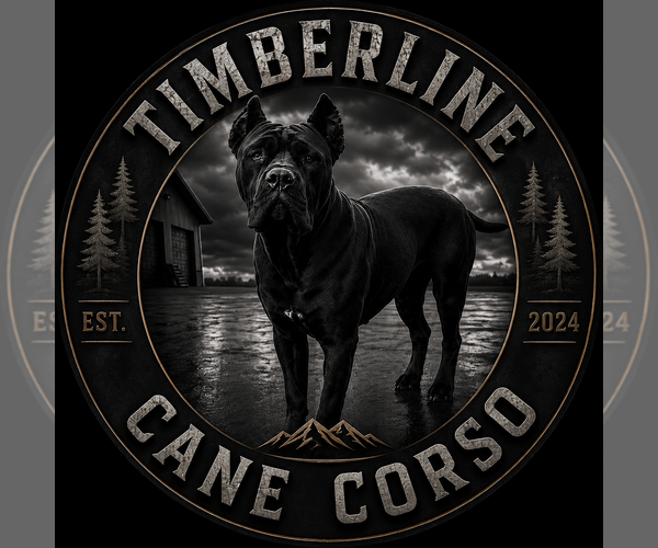 Medium Photo #8  Breeder Profile in PONSFORD, MN, USA