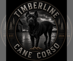 Small #7 Breeder Profile image
