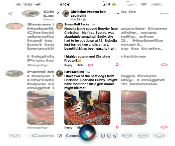 Medium Photo #19  Breeder Profile in LOUISVILLE, KY, USA