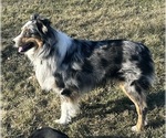 Small #3 Breeder Profile image