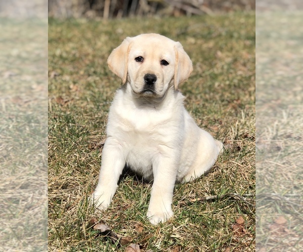 Medium Photo #16  Breeder Profile in RADFORD, VA, USA