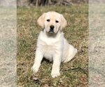 Small #15 Breeder Profile image