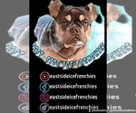 Small #7 Breeder Profile image