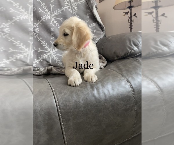 Medium Photo #5  Breeder Profile in PEYTON, CO, USA