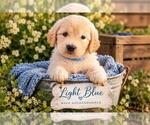Small #19 Breeder Profile image