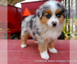 Small #2 Breeder Profile image