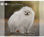Small #1 Breeder Profile image