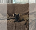 Small #14 Breeder Profile image