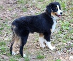 Small #15 Breeder Profile image