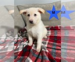 Small #2 Breeder Profile image