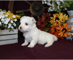Small #93 Breeder Profile image