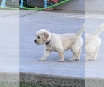 Small #4 Breeder Profile image