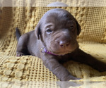Small #5 Breeder Profile image