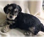Small #2 Breeder Profile image
