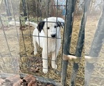 Small #3 Breeder Profile image