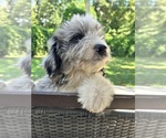 Small #1 Breeder Profile image