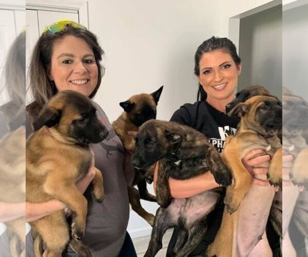 Medium Photo #9  Breeder Profile in S CHARLESTON, WV, USA