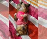 Small #6 Breeder Profile image