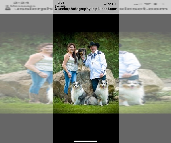 Medium Photo #20  Breeder Profile in BETHANY, CT, USA