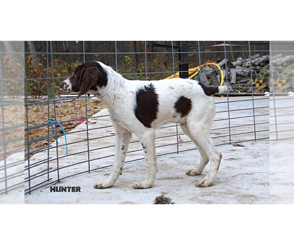 Medium Photo #22  Breeder Profile in CLARE, MI, USA