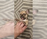 Small #11 Breeder Profile image