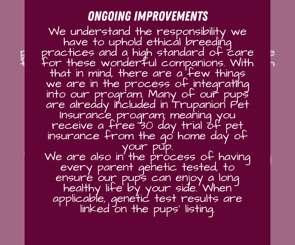 Medium Photo #8  Breeder Profile in GOSHEN, IN, USA