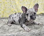 Small #10 Breeder Profile image