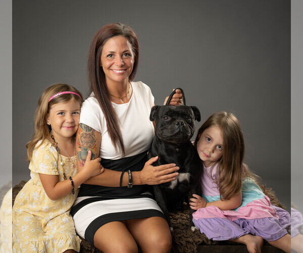 Medium Photo #1  Breeder Profile in VILONIA, AR, USA