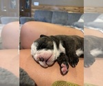 Small #14 Breeder Profile image
