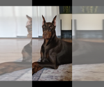 Small #10 Breeder Profile image