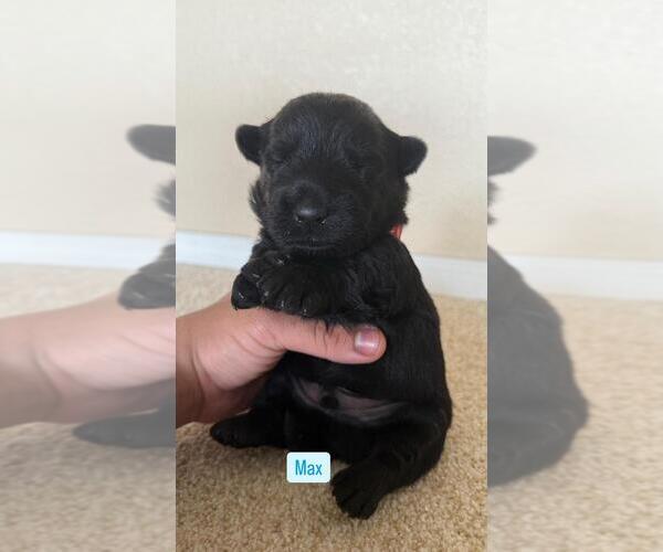 Medium Photo #1  Breeder Profile in LOS LUNAS, NM, USA
