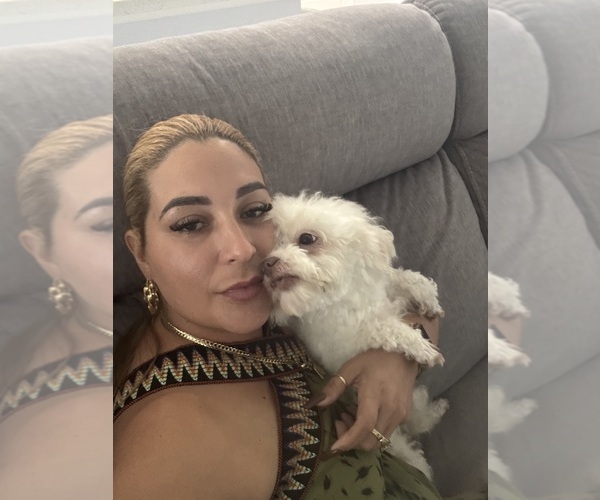 Medium Photo #1  Breeder Profile in NAPLES, FL, USA