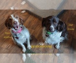Small #8 Breeder Profile image