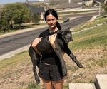 Small #4 Breeder Profile image